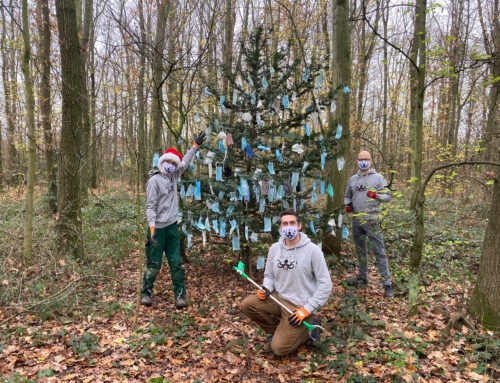 Die KRAKE dekoriert Kölns hässlichsten Weihnachtsbaum